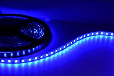 Wasserdichte flexible LED Neonbeleuchtung SMD2835 für Freizeitpark-Dekoration